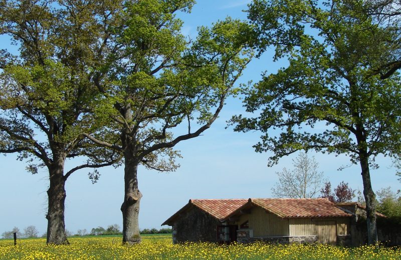 Gîte de la Bergerie : Colombier de Philomène (3p) depuis le labyrinthe papillons