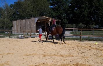 stage-cheval -vignes-en-selle-nantes-cholet-anjou-clisson