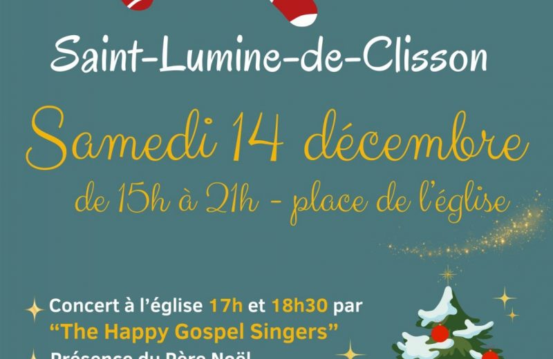 Affiche les lumineuses de Noël 2024 V4 (002)