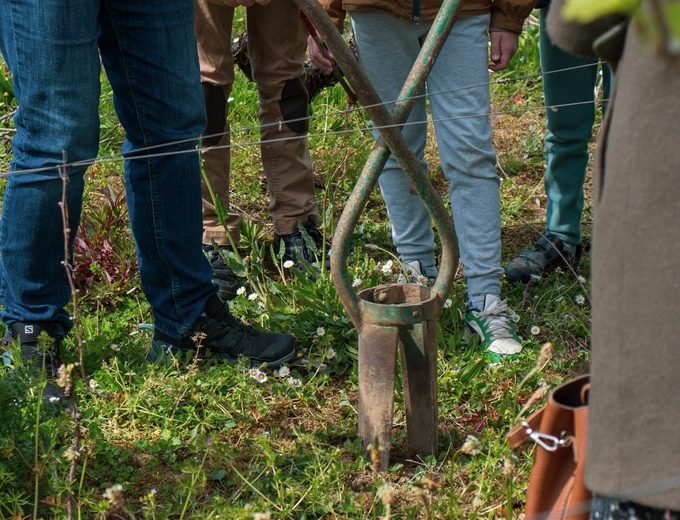 parcours touche à tout au musée du vignoble nantais