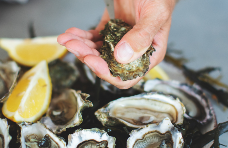 Balade huîtres et Muscadet sur la Loire – 5