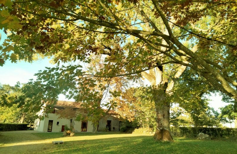 Gîte de la Bergerie