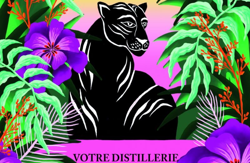 Jungle affiche_CMJN