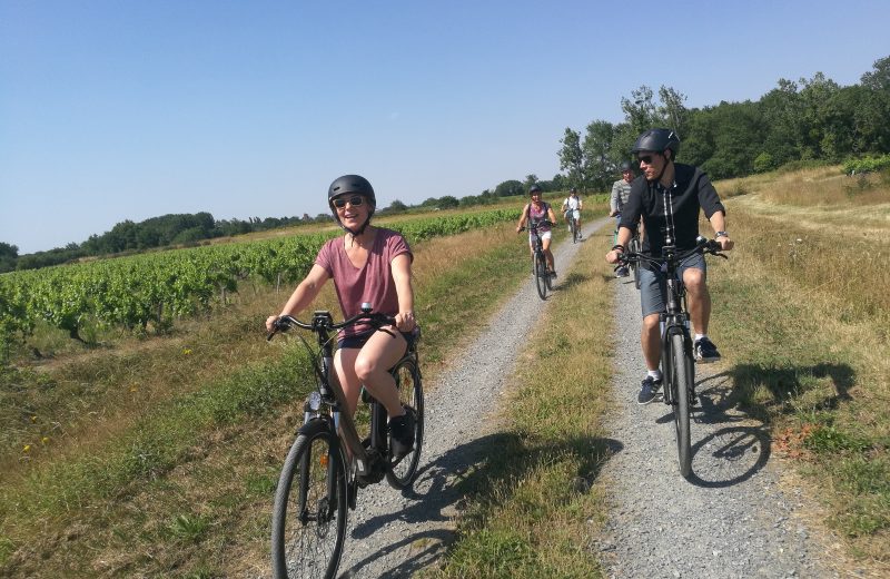 Tour guide du Vignoble de Nantes à velo