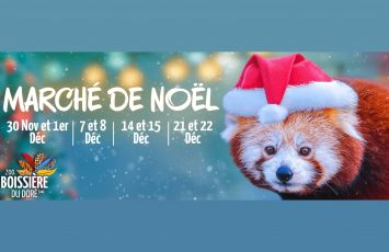 marche de noel zoo boissiere du dore