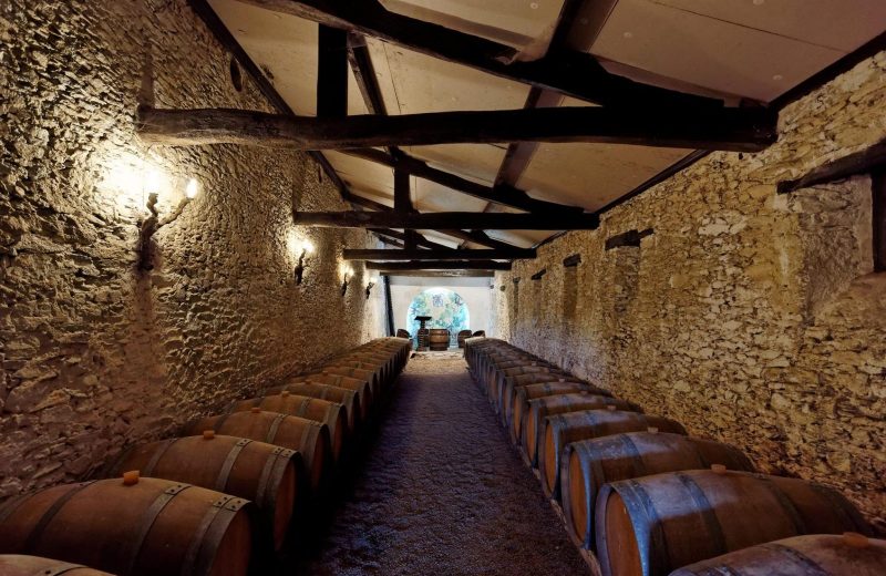 visiteentreprisechateaucassemichere-2024-levignobledenantes-tourisme